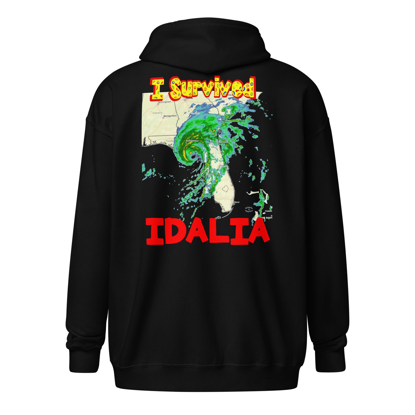 A cut out picture of a hoodie with back print design of I SURVIVED Hurricane IDALIA Unisex Heavy Blend Zip Hoodie in black