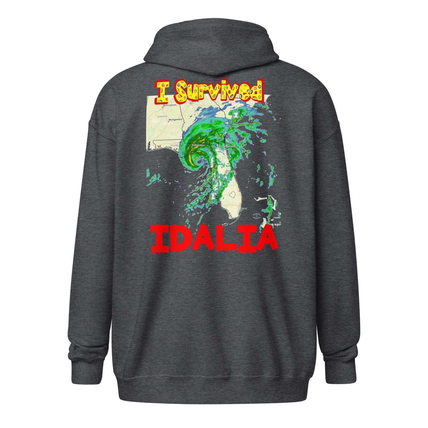 A cut out picture of a hoodie with back print design of I SURVIVED Hurricane IDALIA Unisex Heavy Blend Zip Hoodie in dark heather grey