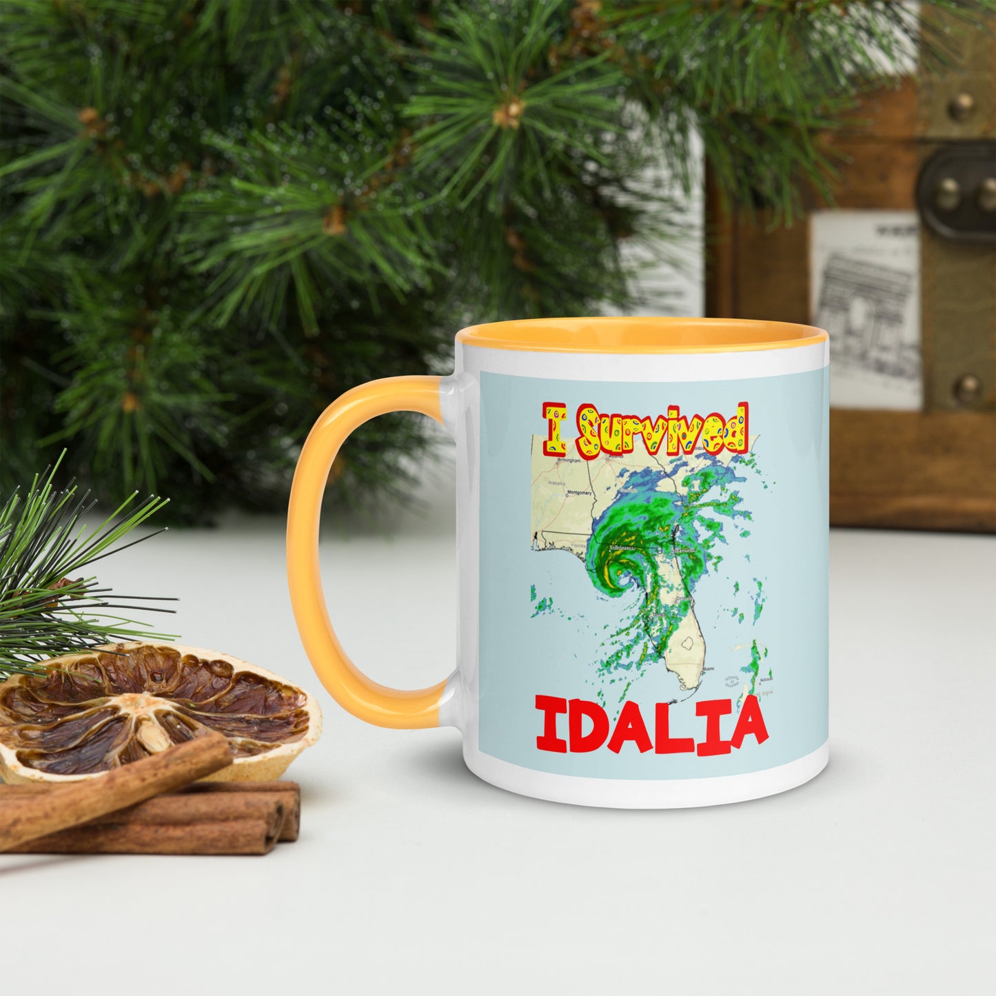 "I Survived Hurricane Idalia 2023" Mug with Color Inside