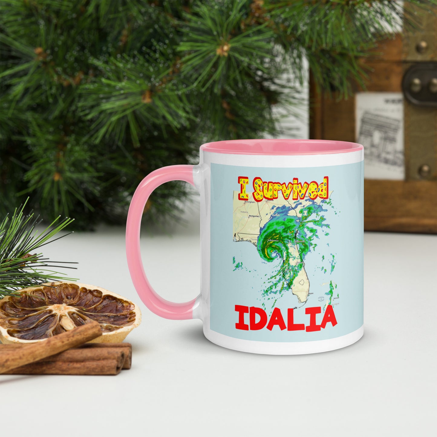 "I Survived Hurricane Idalia 2023" Mug with Color Inside